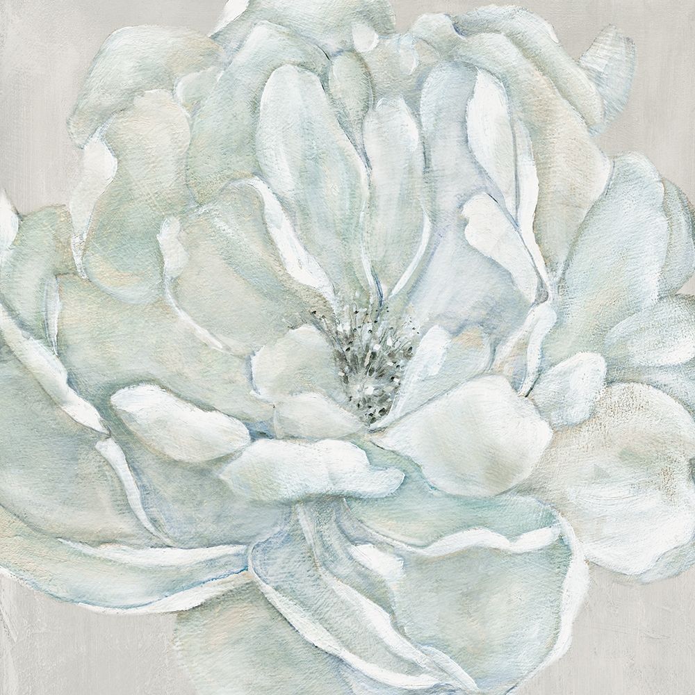 Art Print: Morning Petals