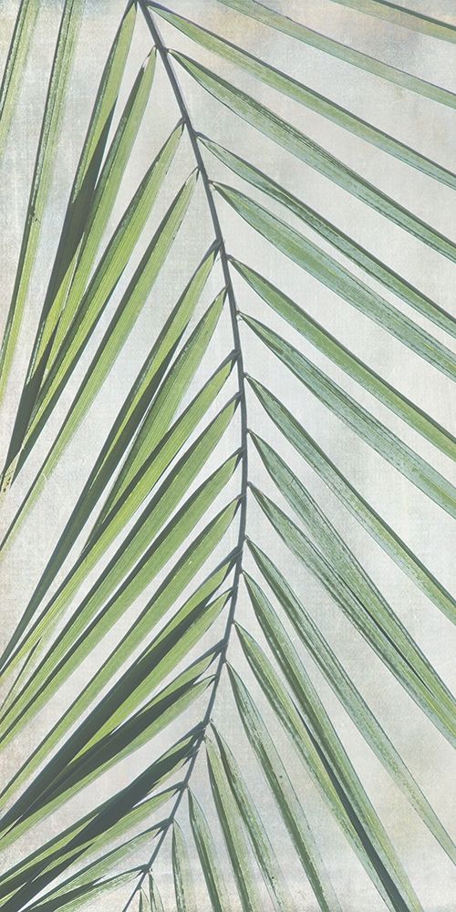 Wall Art Painting id:219735, Name: Palm Escape I, Artist: Weisz, Irene