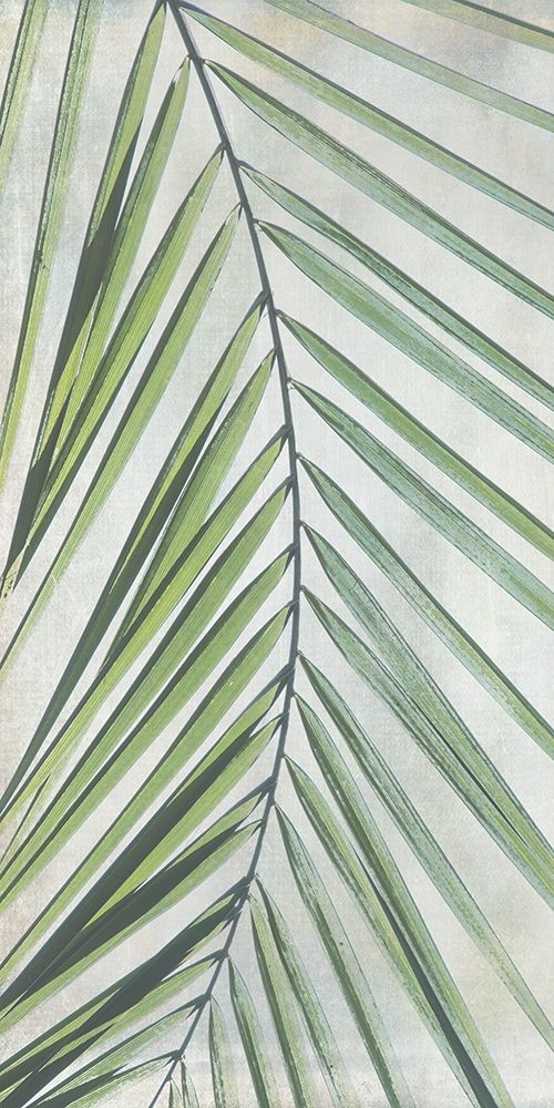 Art Print: Palm Escape I