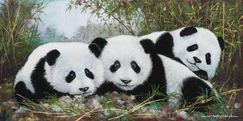 Wall Art Painting id:214500, Name: Panda Play, Artist: Orme, E. Anthony