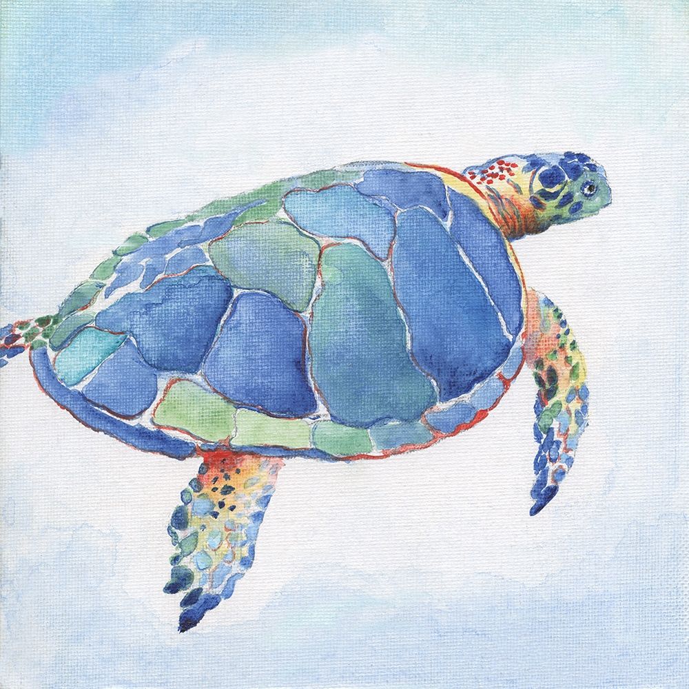 Art Print: Galapagos Sea Turtle I