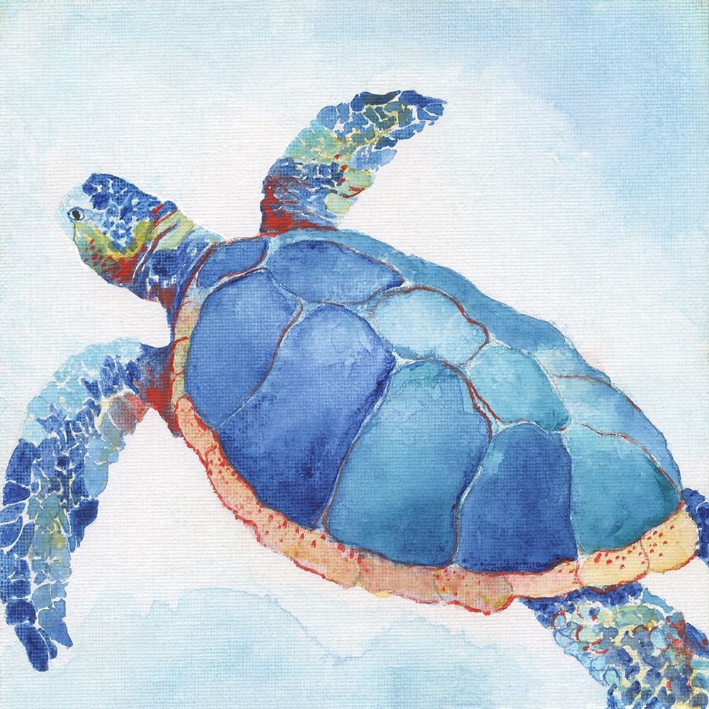 Art Print: Galapagos Sea Turtle II