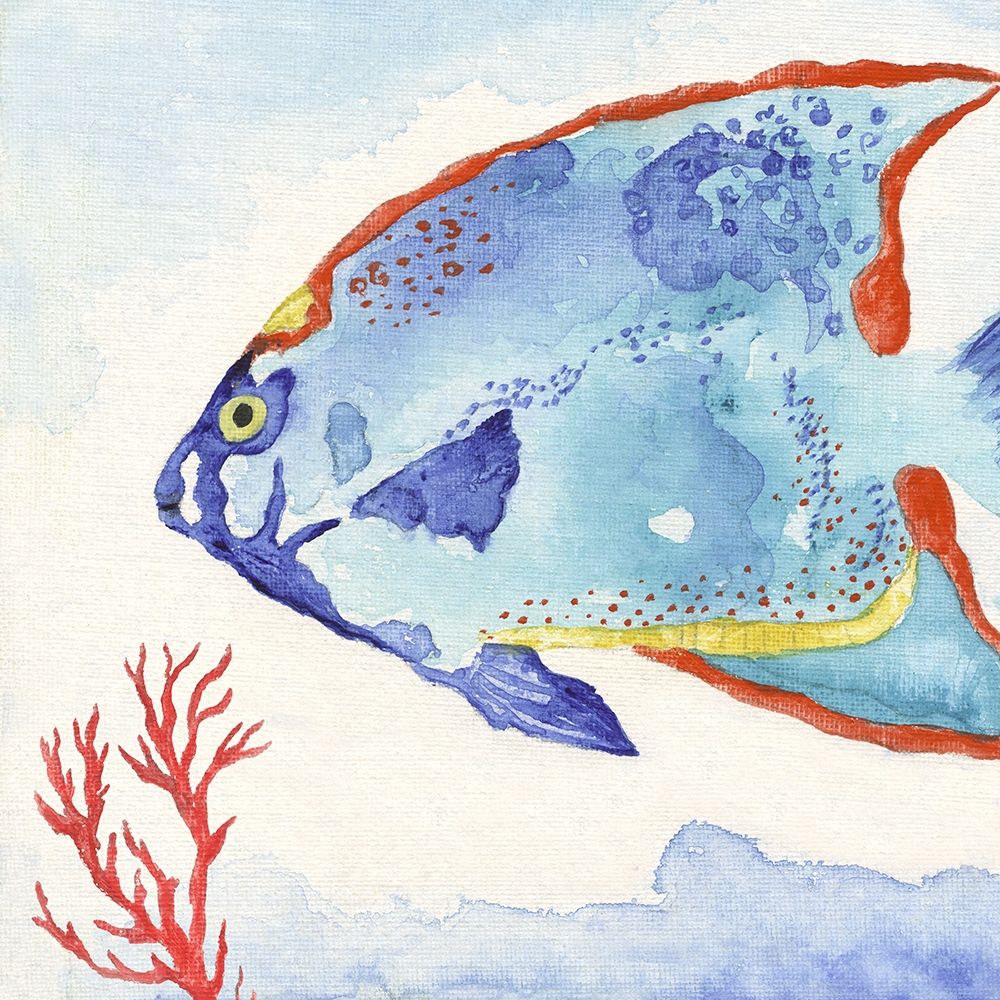 Art Print: Galapagos Fish II