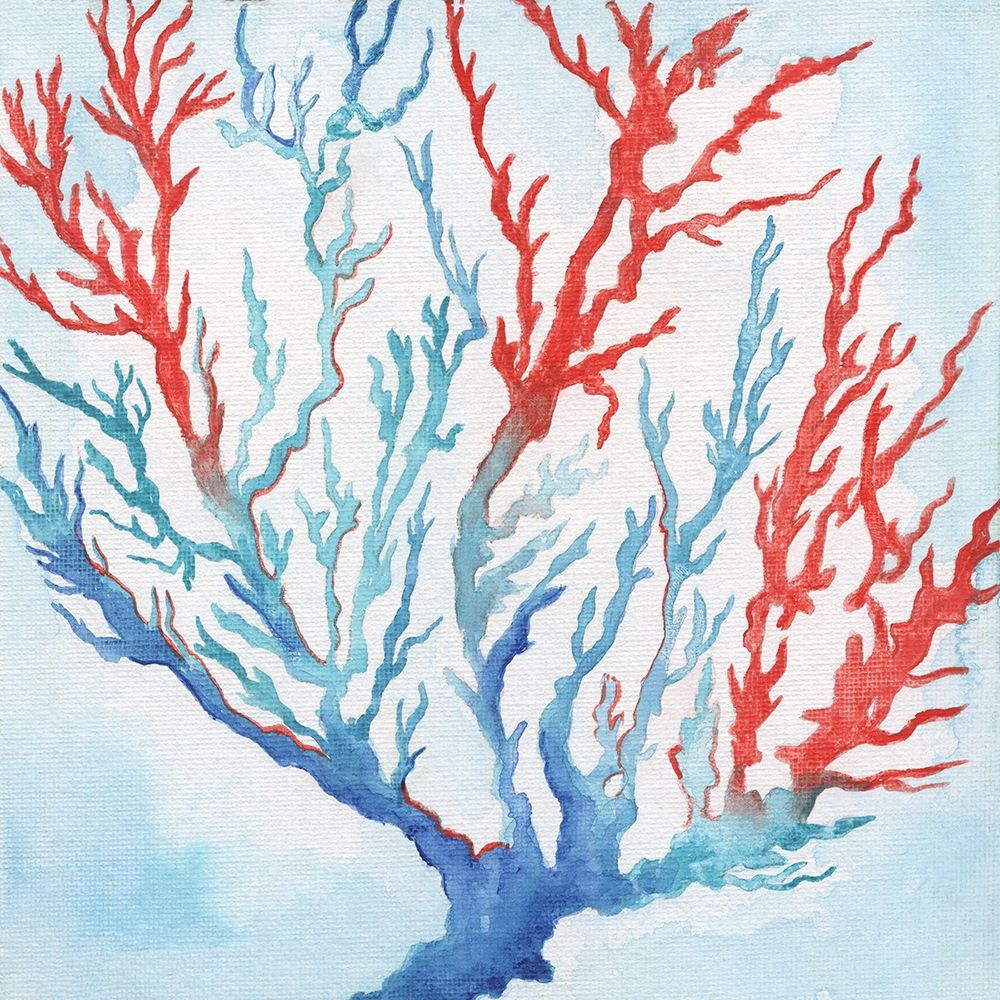 Art Print: Galapagos Coral