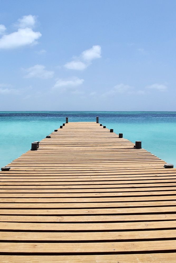 Wall Art Painting id:246643, Name: Blue Skies, Artist: Carpentieri, Natalie