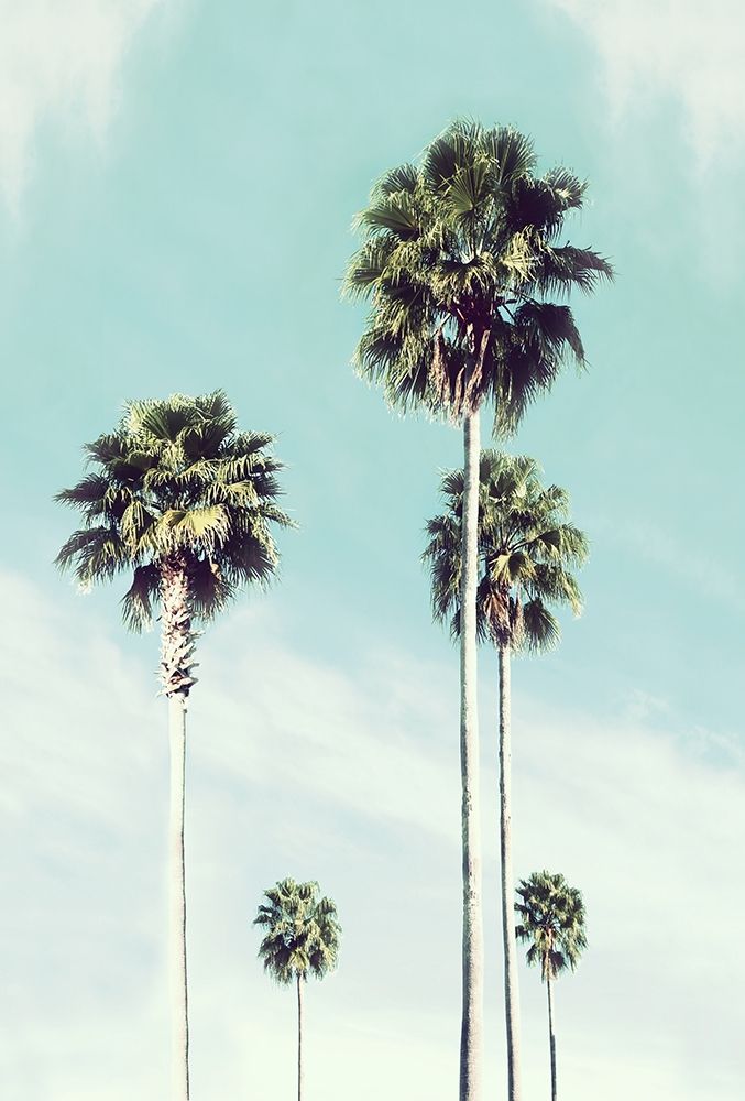 Wall Art Painting id:310795, Name: Vintage Palm, Artist: Carpentieri, Natalie