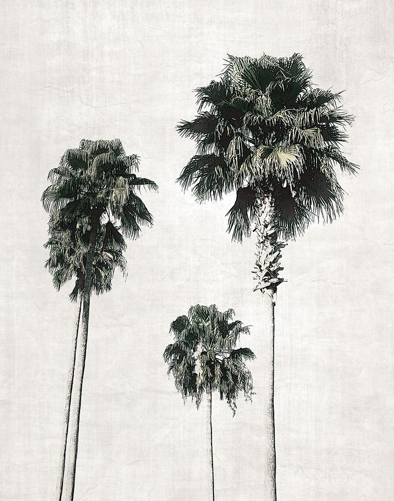 Wall Art Painting id:264655, Name: Sketchbook Palm, Artist: Carpentieri, Natalie