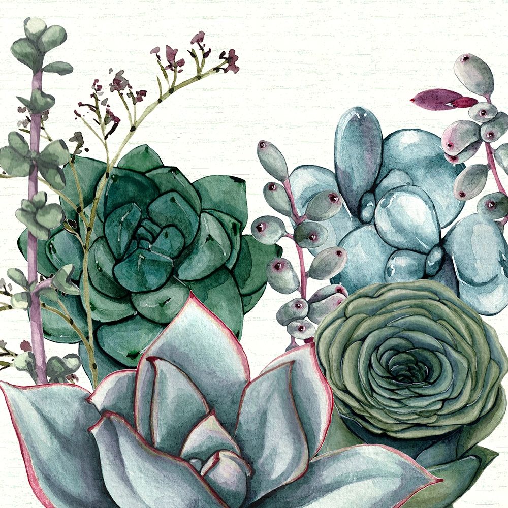 Wall Art Painting id:264773, Name: Succulent Garden I, Artist: Jill, Susan