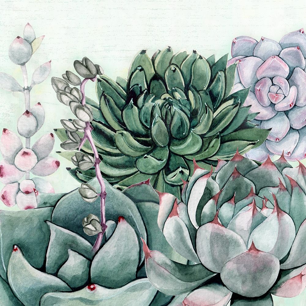 Wall Art Painting id:264774, Name: Succulent Garden II, Artist: Jill, Susan