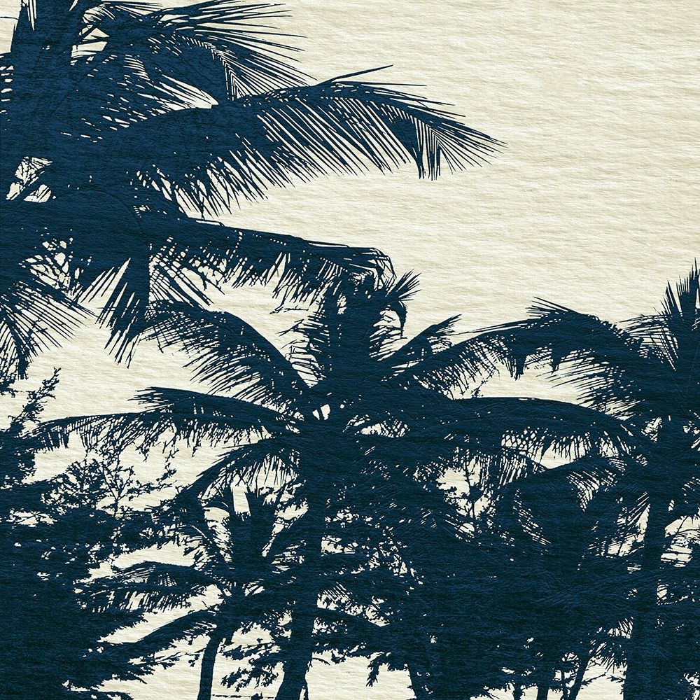 Wall Art Painting id:414830, Name: Caicos II, Artist: Jill, Susan