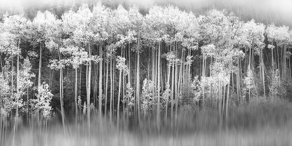 Similar wall art painting: 276212