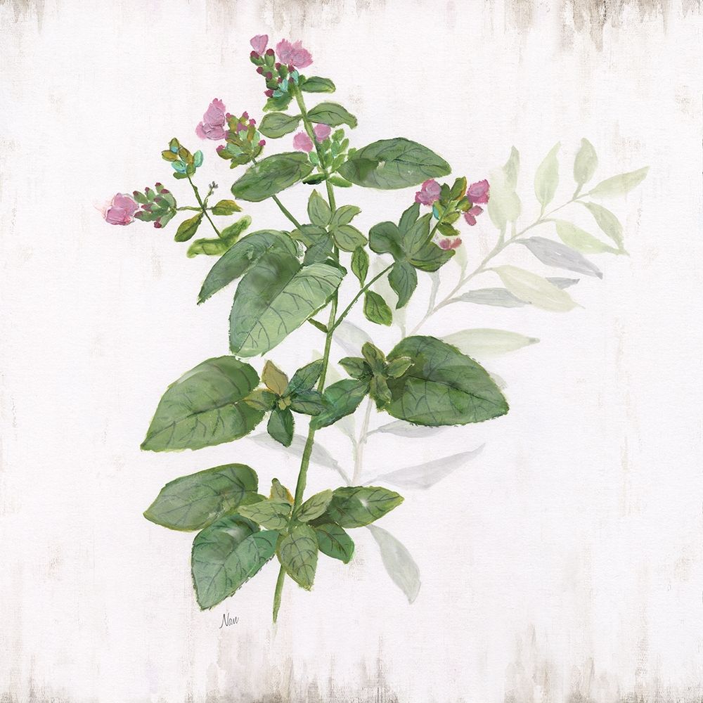 Wall art: Kitchen Garden I, by Nan