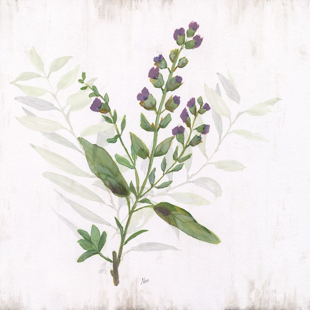 Art Print: Kitchen Garden II