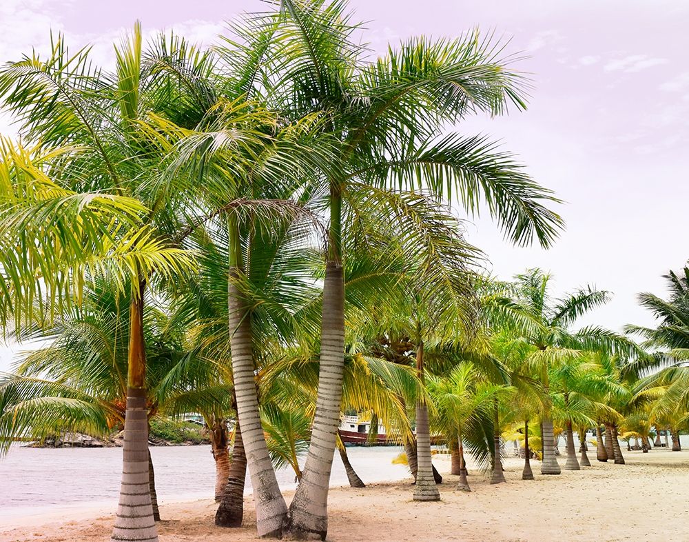 Wall Art Painting id:276224, Name: Summer Day, Artist: Carpentieri, Natalie