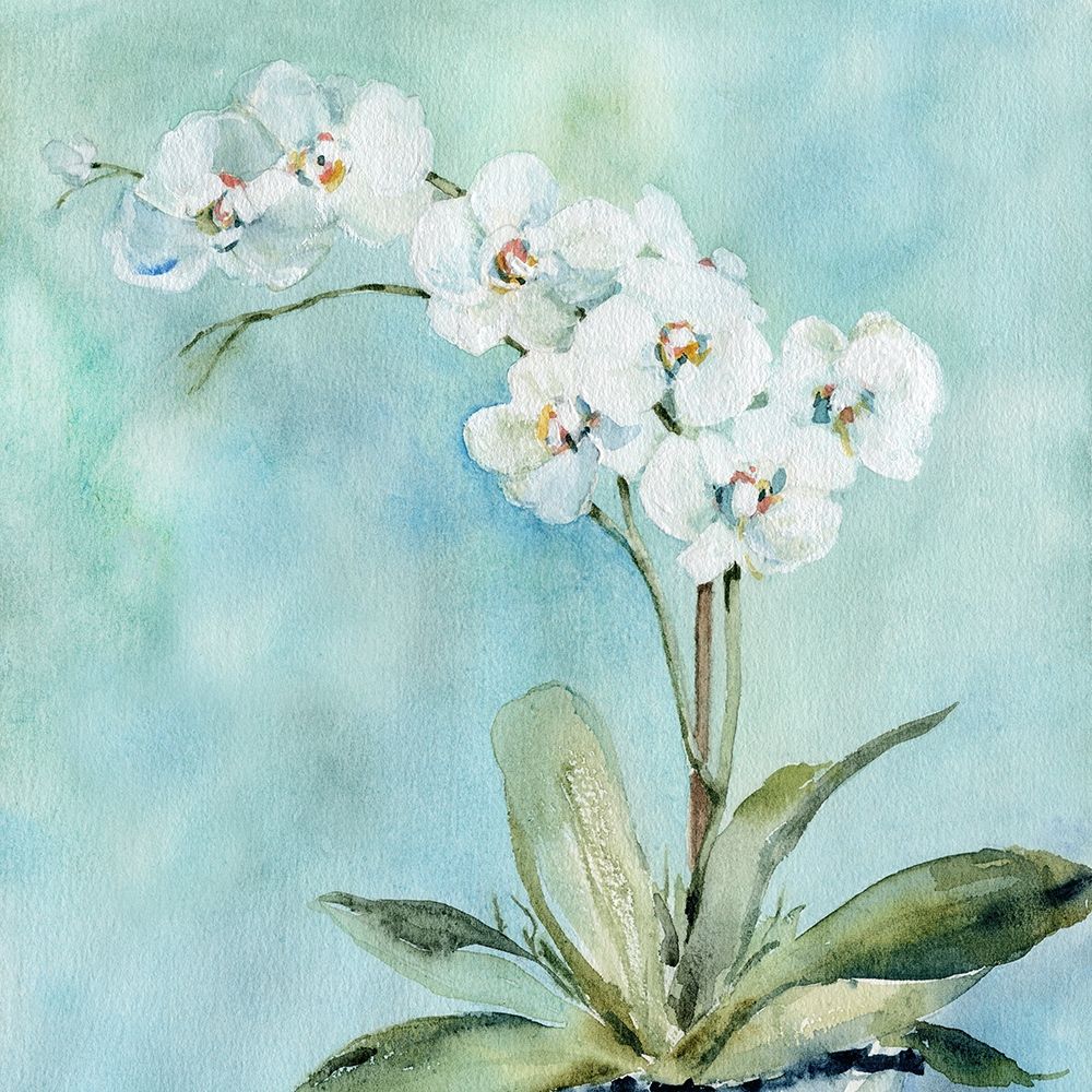 Wall art: Sunlit Orchid, by Robinson, Carol