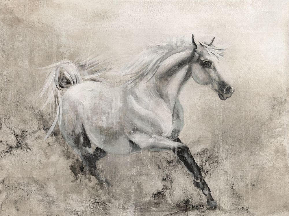 Wall art: Majestic Stallion I, by Brooks, Donna