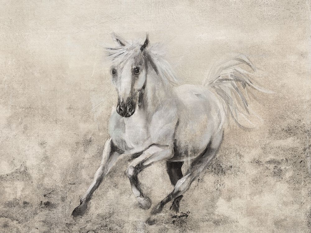 Art Print: Majestic Stallion II