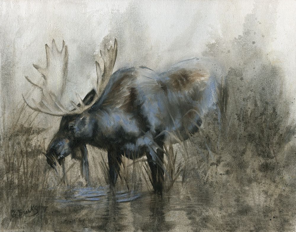 Wall Art Painting id:284596, Name: Majestic Elk, Artist: Brooks, Donna