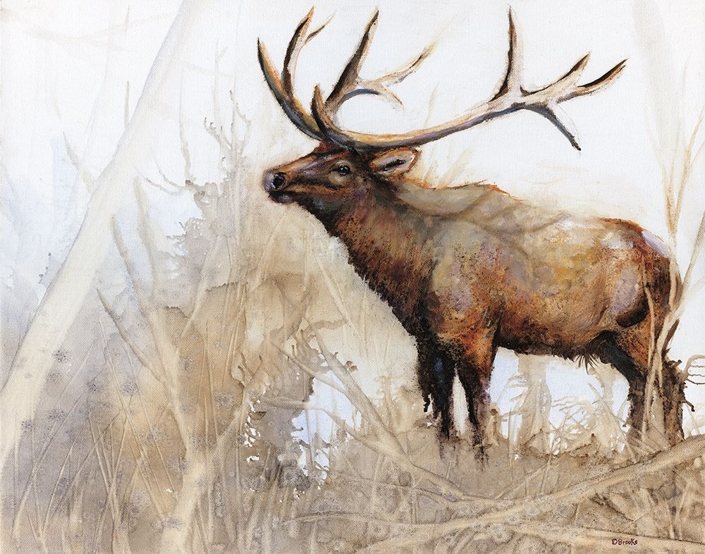 Wall Art Painting id:284597, Name: Majestic Moose, Artist: Brooks, Donna