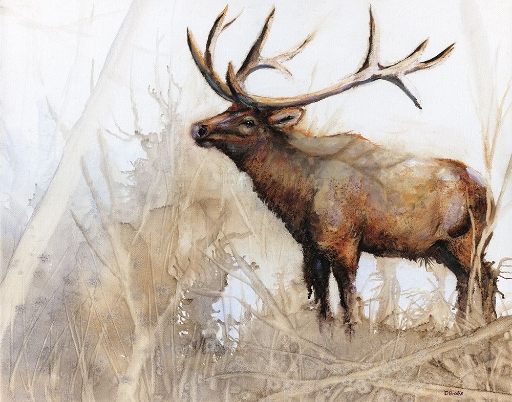 Art Print: Majestic Moose