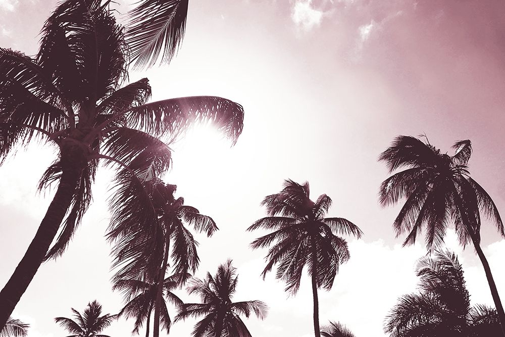 Wall Art Painting id:310838, Name: Palm Sunshine, Artist: Carpentieri, Natalie