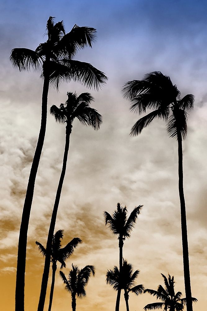 Wall Art Painting id:310864, Name: Evenings Edge I, Artist: Carpentieri, Natalie