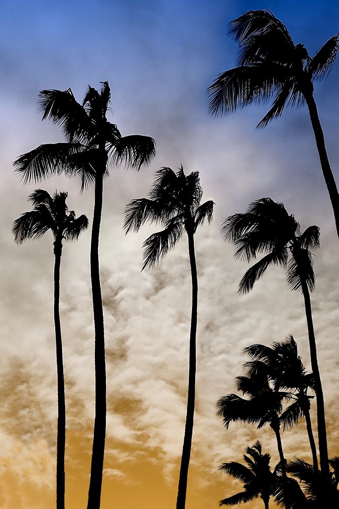 Wall Art Painting id:310865, Name: Evenings Edge II, Artist: Carpentieri, Natalie