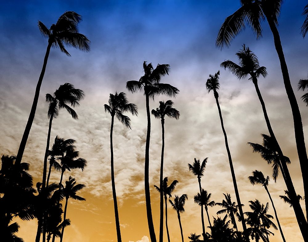 Wall Art Painting id:310866, Name: Evenings Edge, Artist: Carpentieri, Natalie