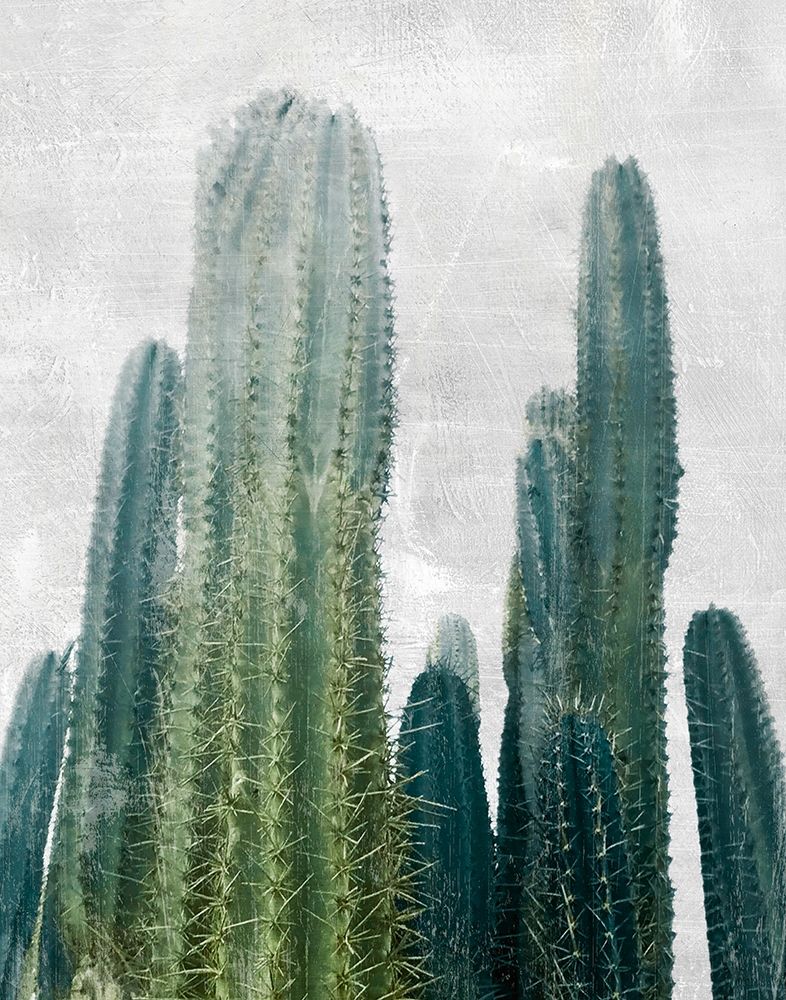 Wall Art Painting id:307384, Name: Aruba Cacti I, Artist: Carpentieri, Natalie