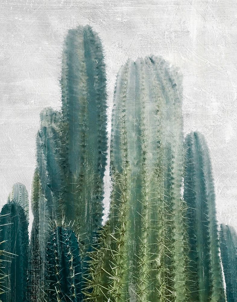 Wall Art Painting id:307385, Name: Aruba Cacti, Artist: Carpentieri, Natalie