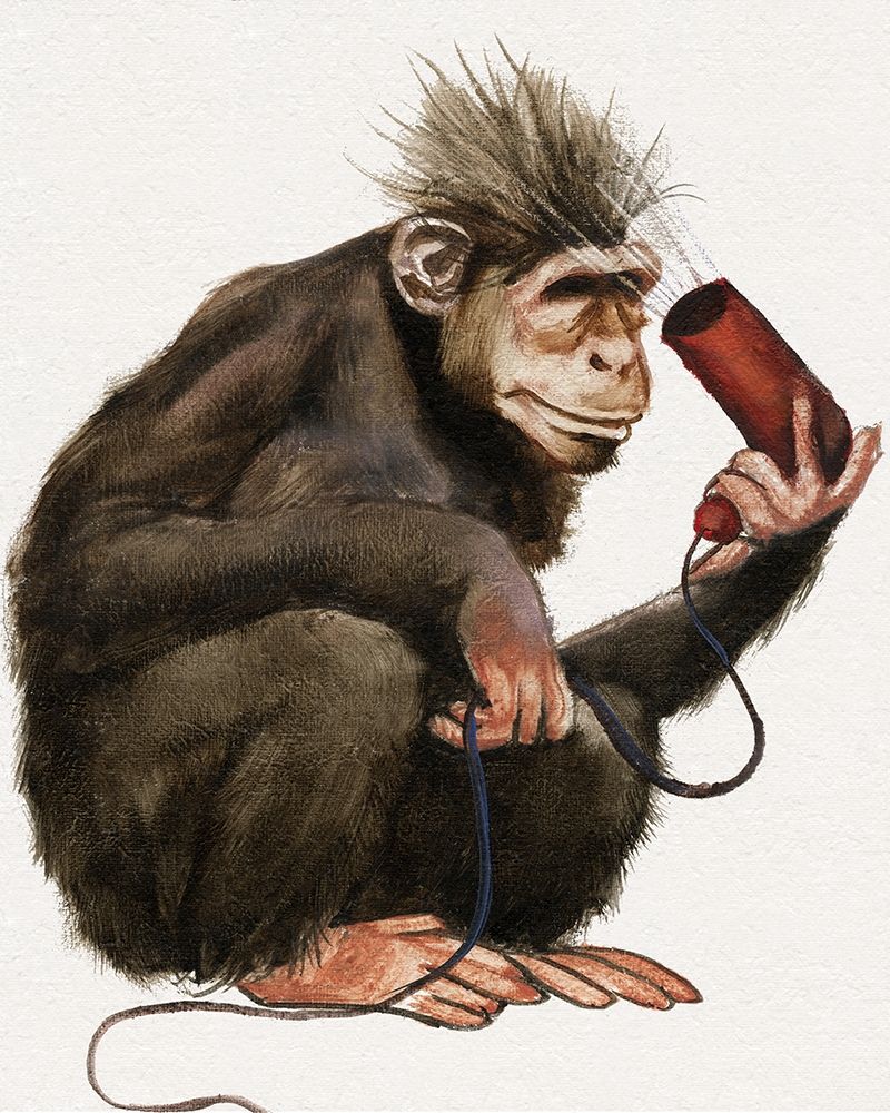 Art Print: Bath Animals I