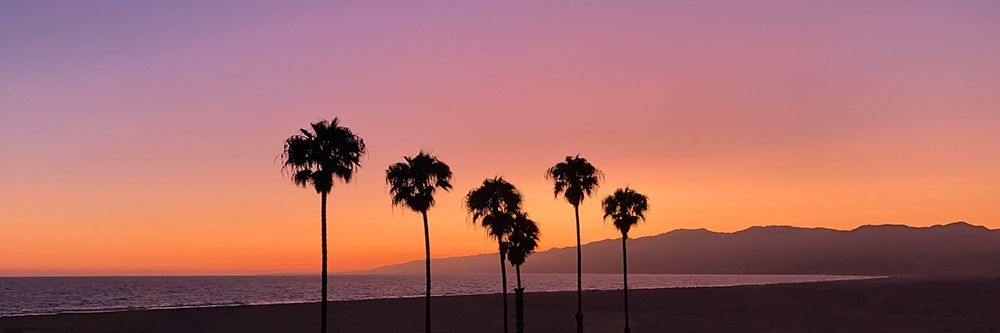 Wall Art Painting id:391640, Name: Sunset on Santa Monica, Artist: Carpentieri, Natalie