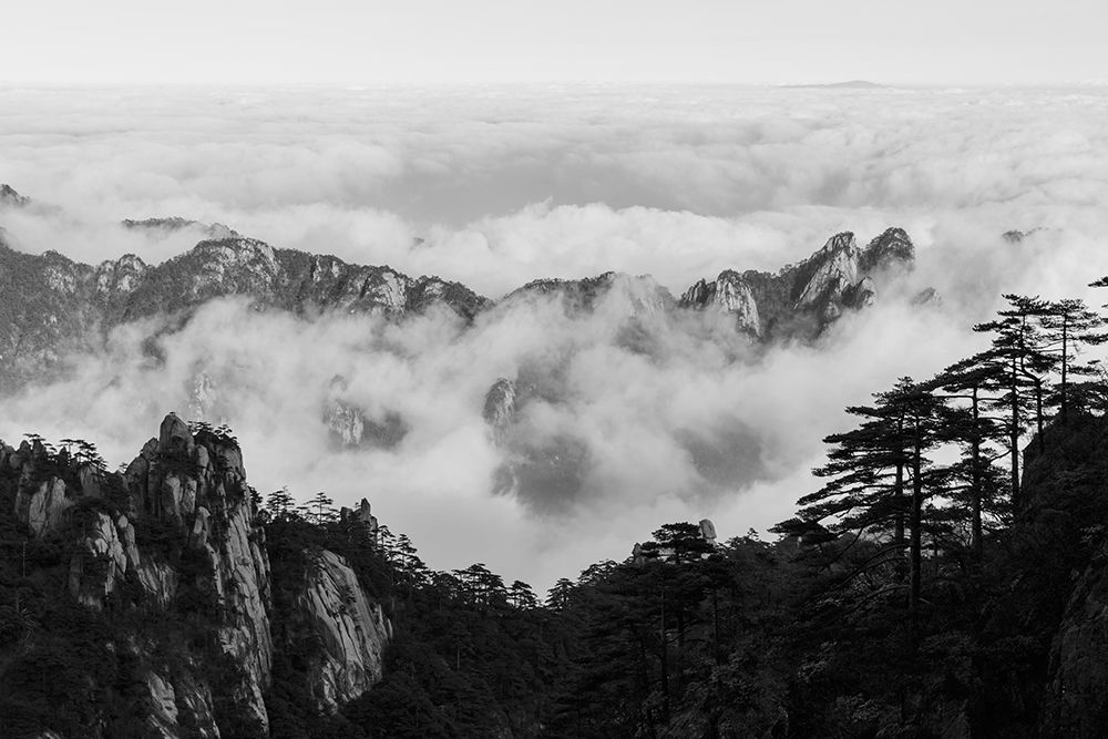 Wall Art Painting id:416864, Name: Yellow Mountain, Artist: Delimont, Danita