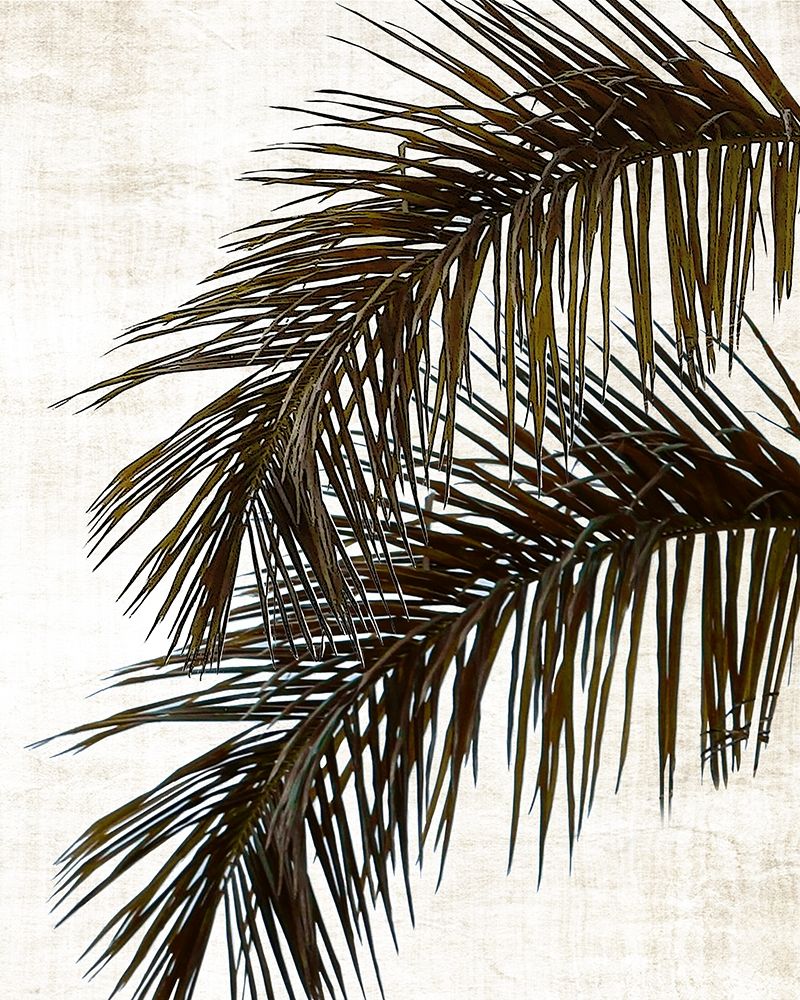 Wall Art Painting id:391709, Name: Palm II, Artist: Carpentieri, Natalie