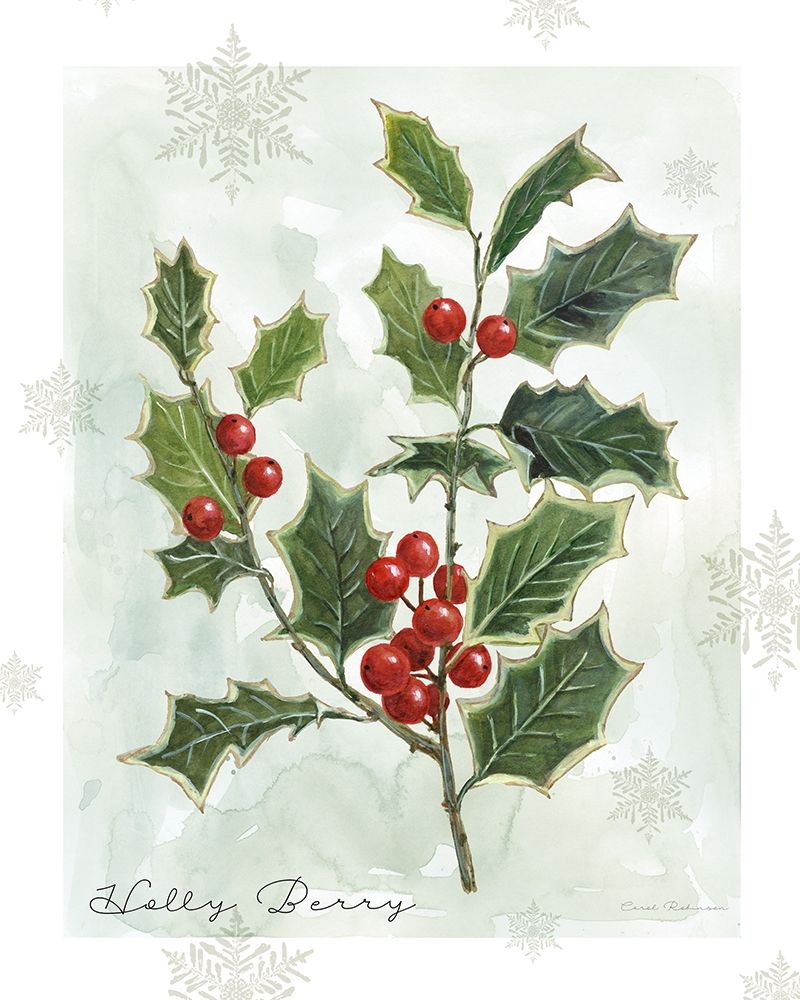 Wall Art Painting id:424911, Name: Botanical Holly Berry, Artist: Robinson, Carol