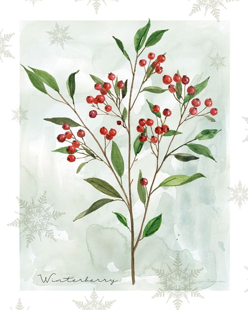Wall Art Painting id:424912, Name: Botanical Winterberry, Artist: Robinson, Carol