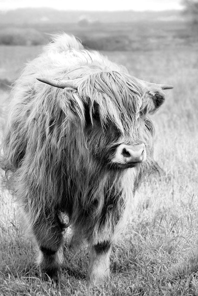 Art Print: Gretna Green