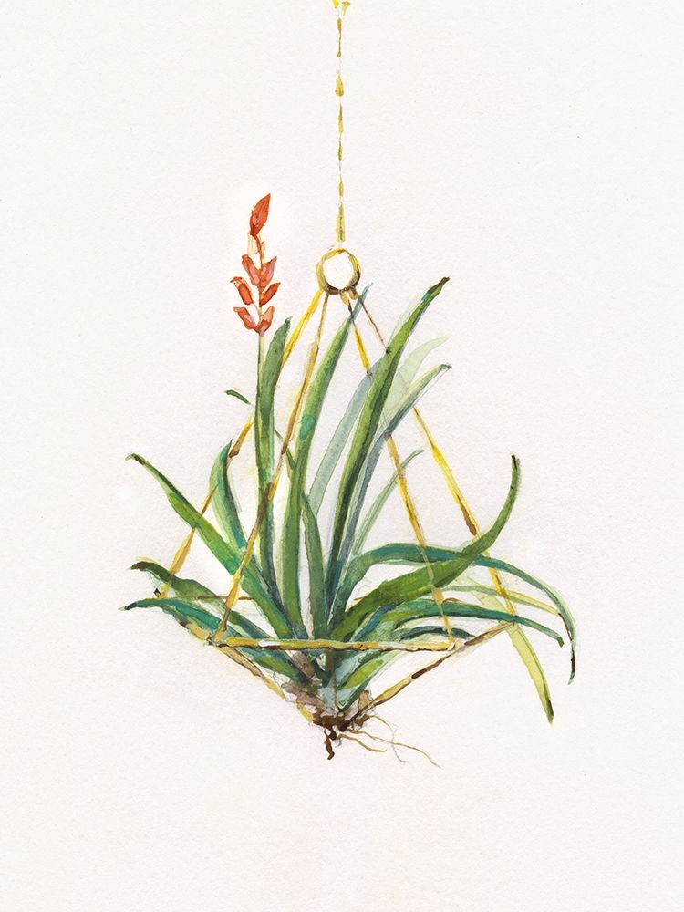 Wall Art Painting id:391898, Name: Gardenaire I, Artist: Swatland, Sally