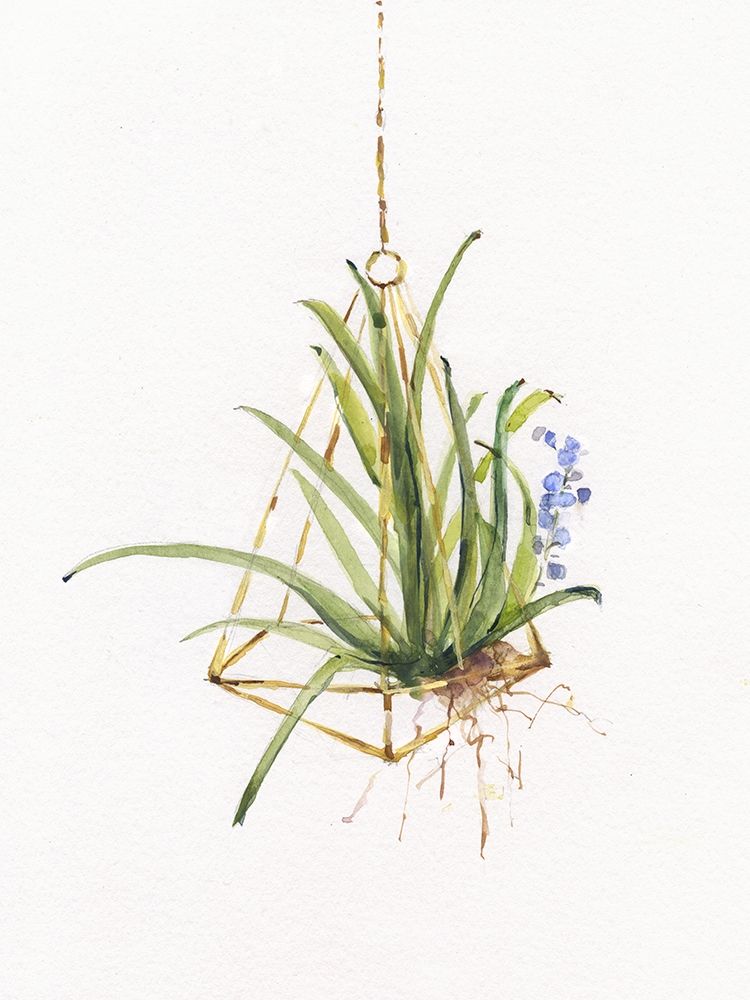 Wall Art Painting id:391899, Name: Gardenaire II, Artist: Swatland, Sally