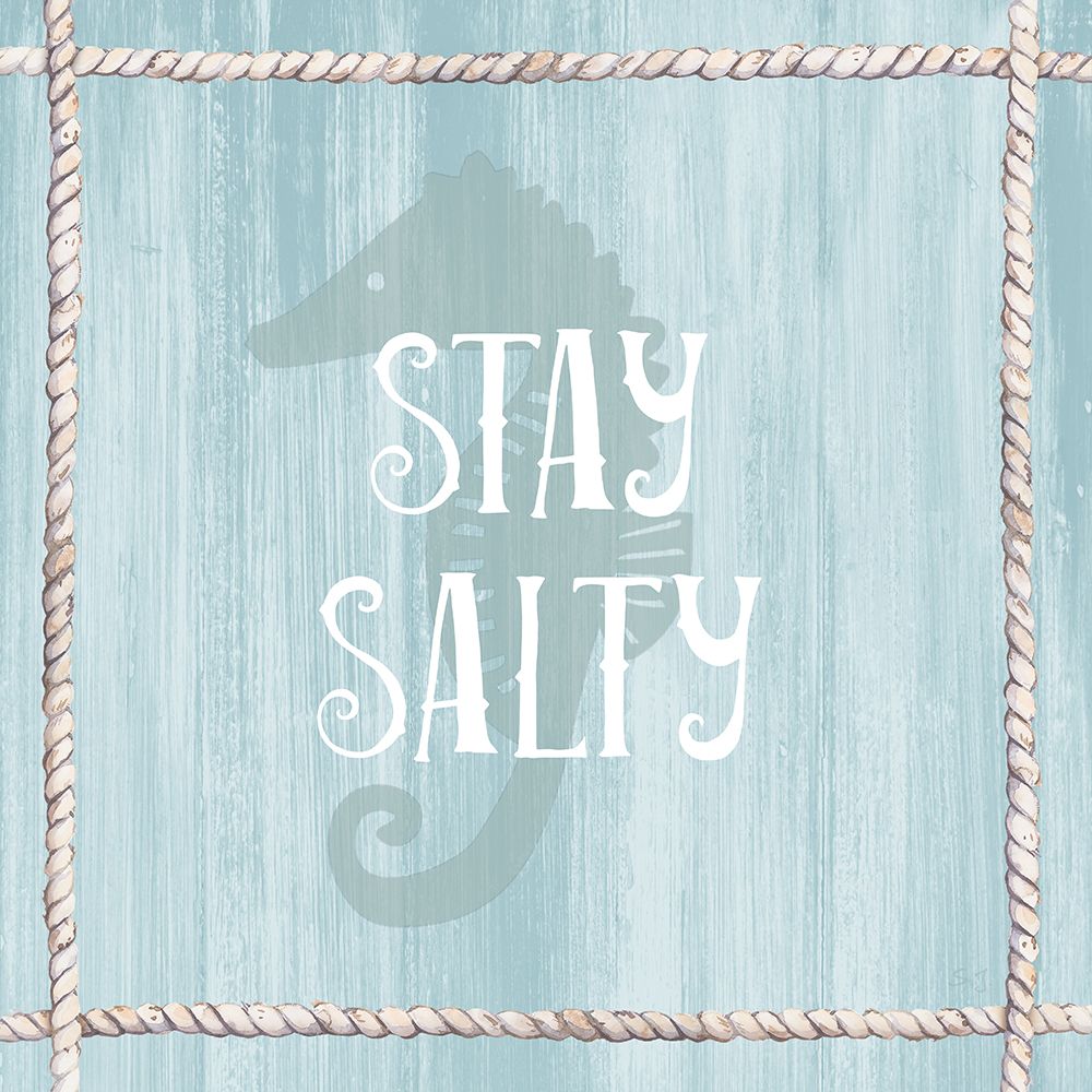 Wall Art Painting id:436226, Name: Stay Salty, Artist: Jill, Susan