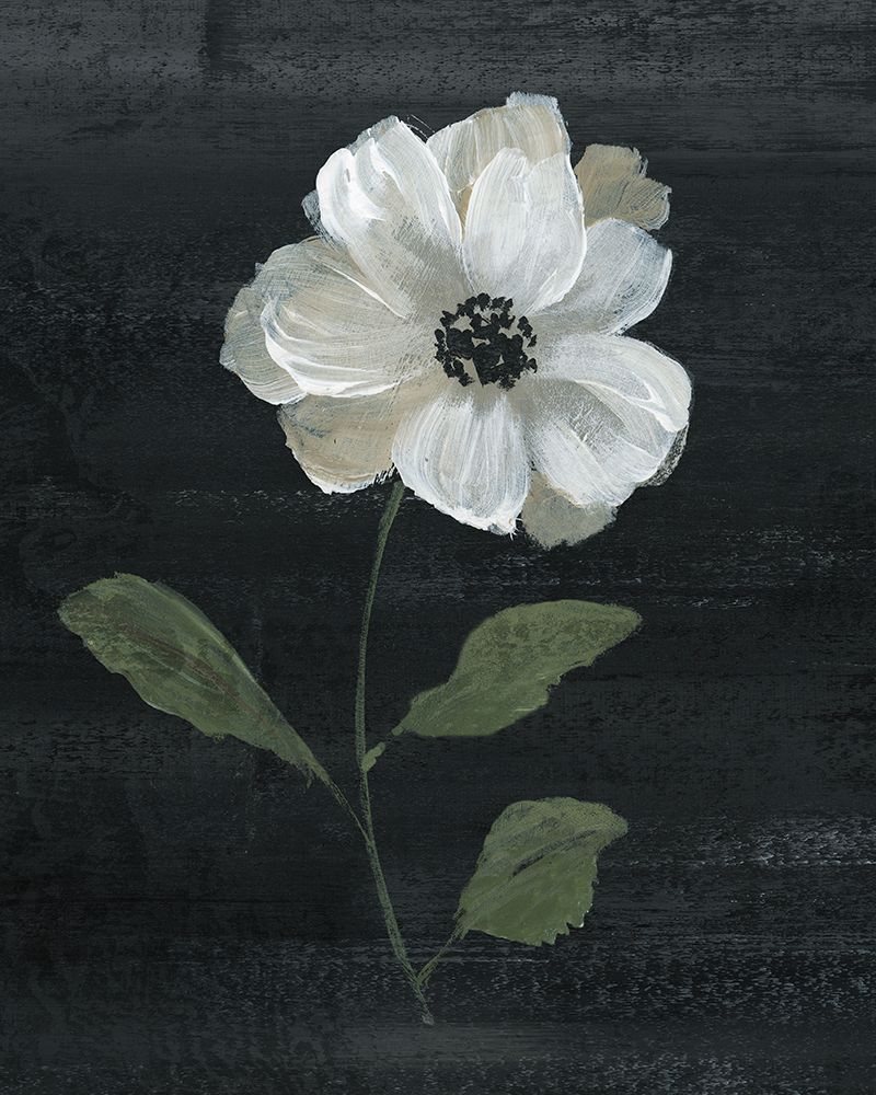 Similar wall art painting: 525400