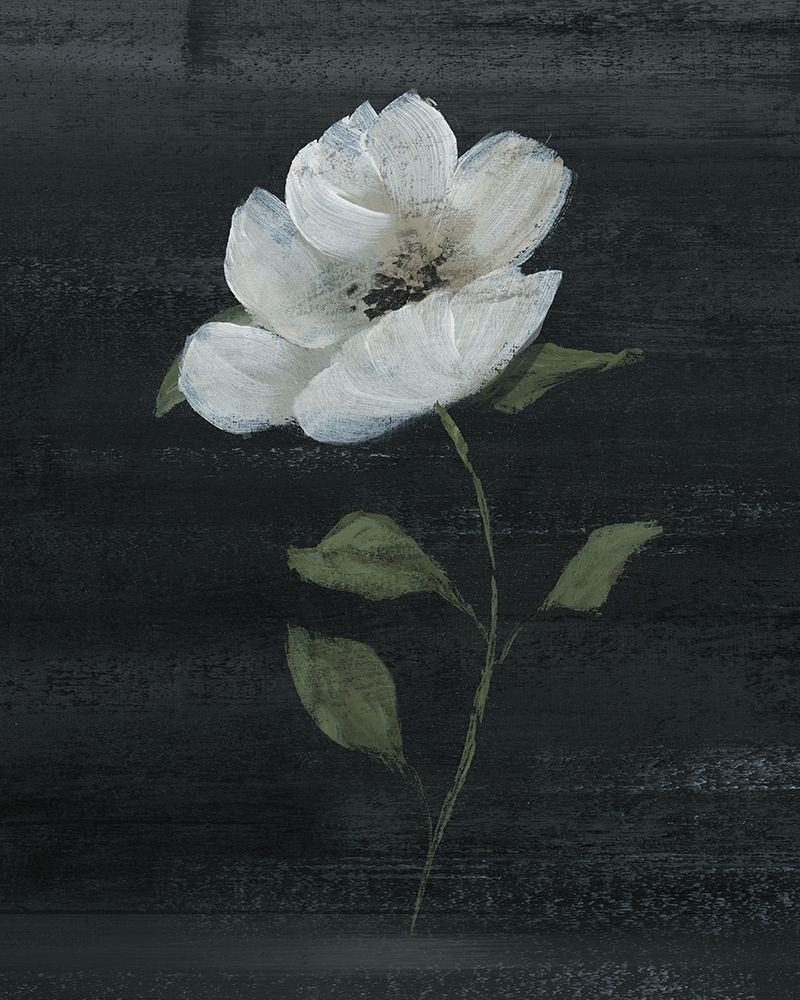 Wall Art Painting id:525401, Name: Country Botanical II, Artist: Nan