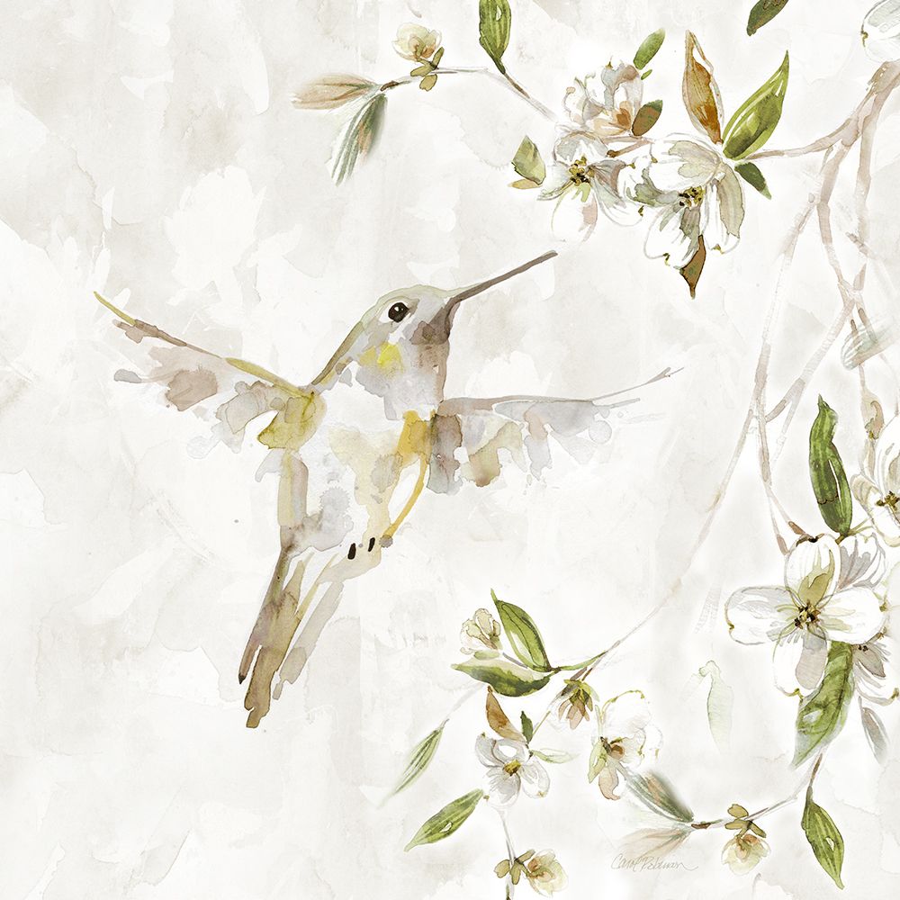 Art Print: Hummingbird Song I