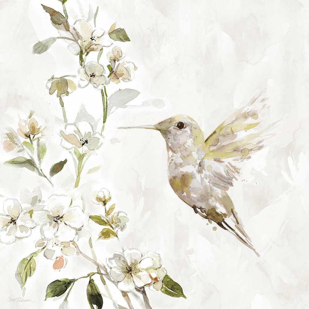 Art Print: Hummingbird Song II