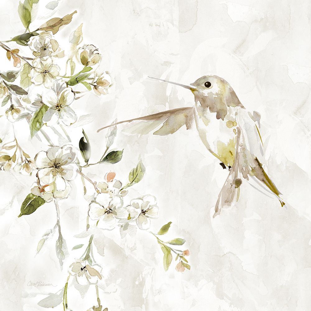 Art Print: Hummingbird Song IV