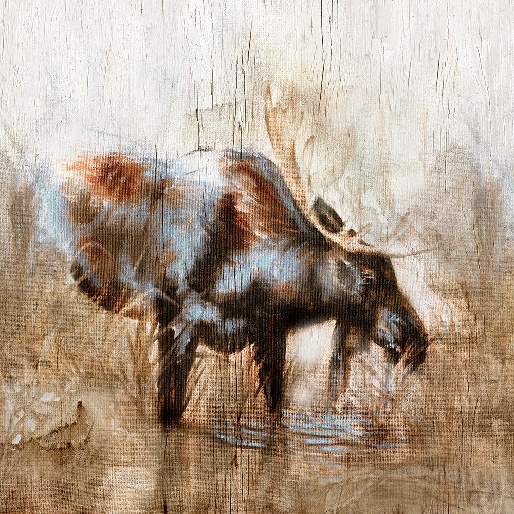 Art Print: Grazing Moose