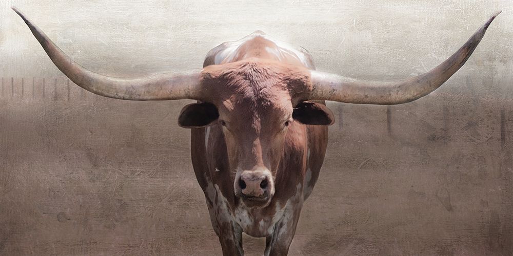 Wall Art Painting id:731443, Name: Big Fella, Artist: Robinson, Carol