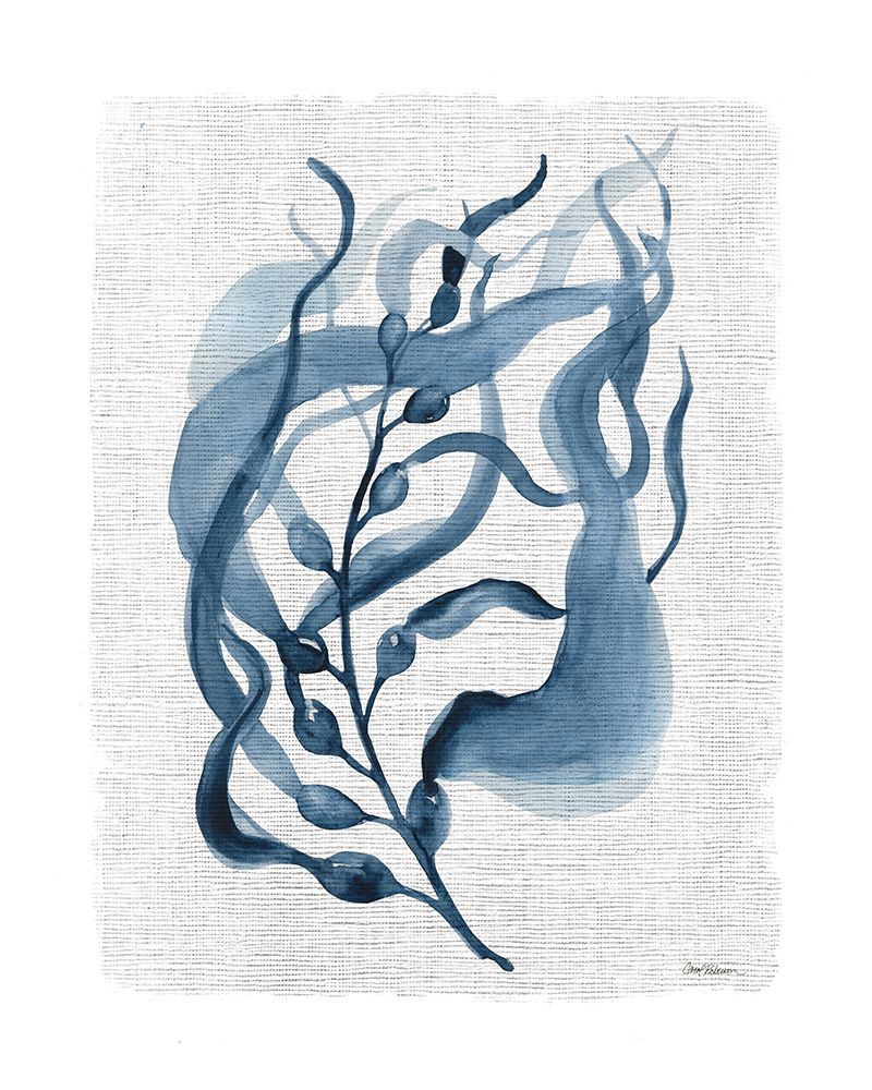 Wall Art Painting id:731473, Name: Navy Kelp II, Artist: Robinson, Carol