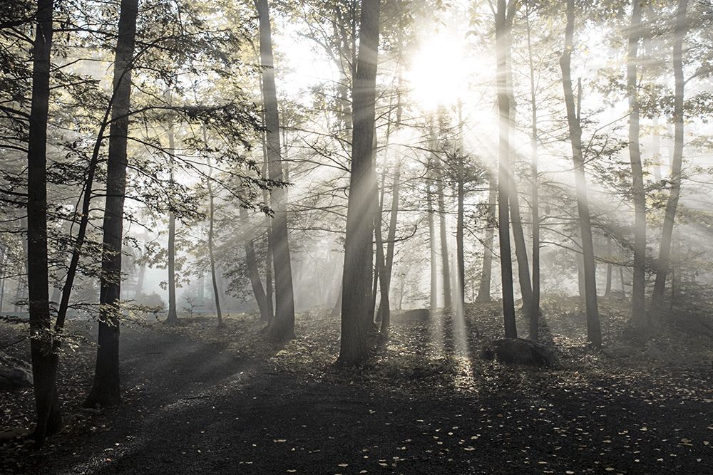 Similar wall art painting: 731587