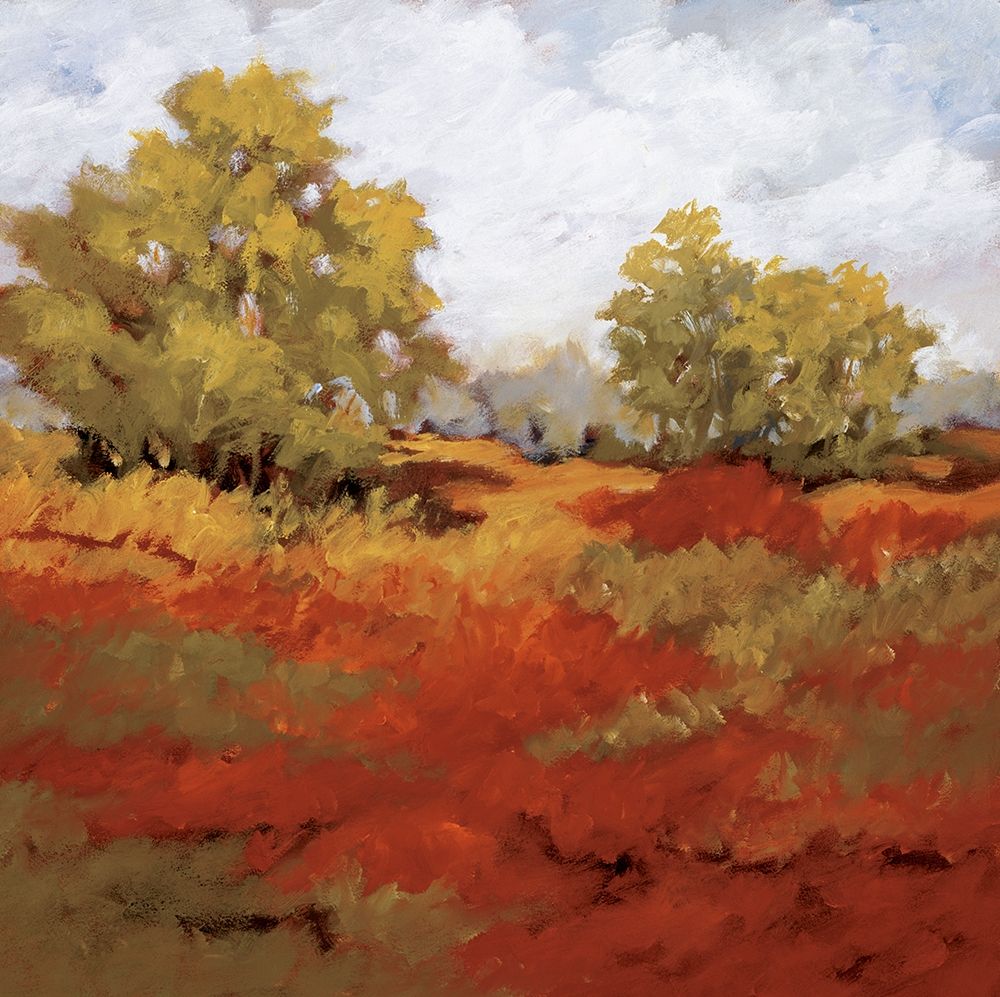 Wall Art Painting id:246918, Name: Scarlet Fields I, Artist: Baynes, Maija